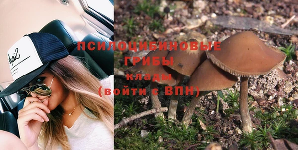 спайс Алексеевка