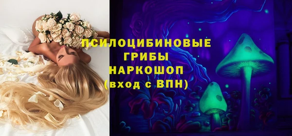 скорость Алзамай