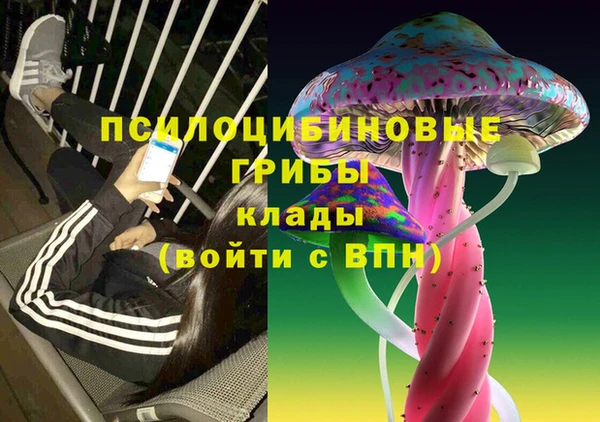 спайс Алексеевка